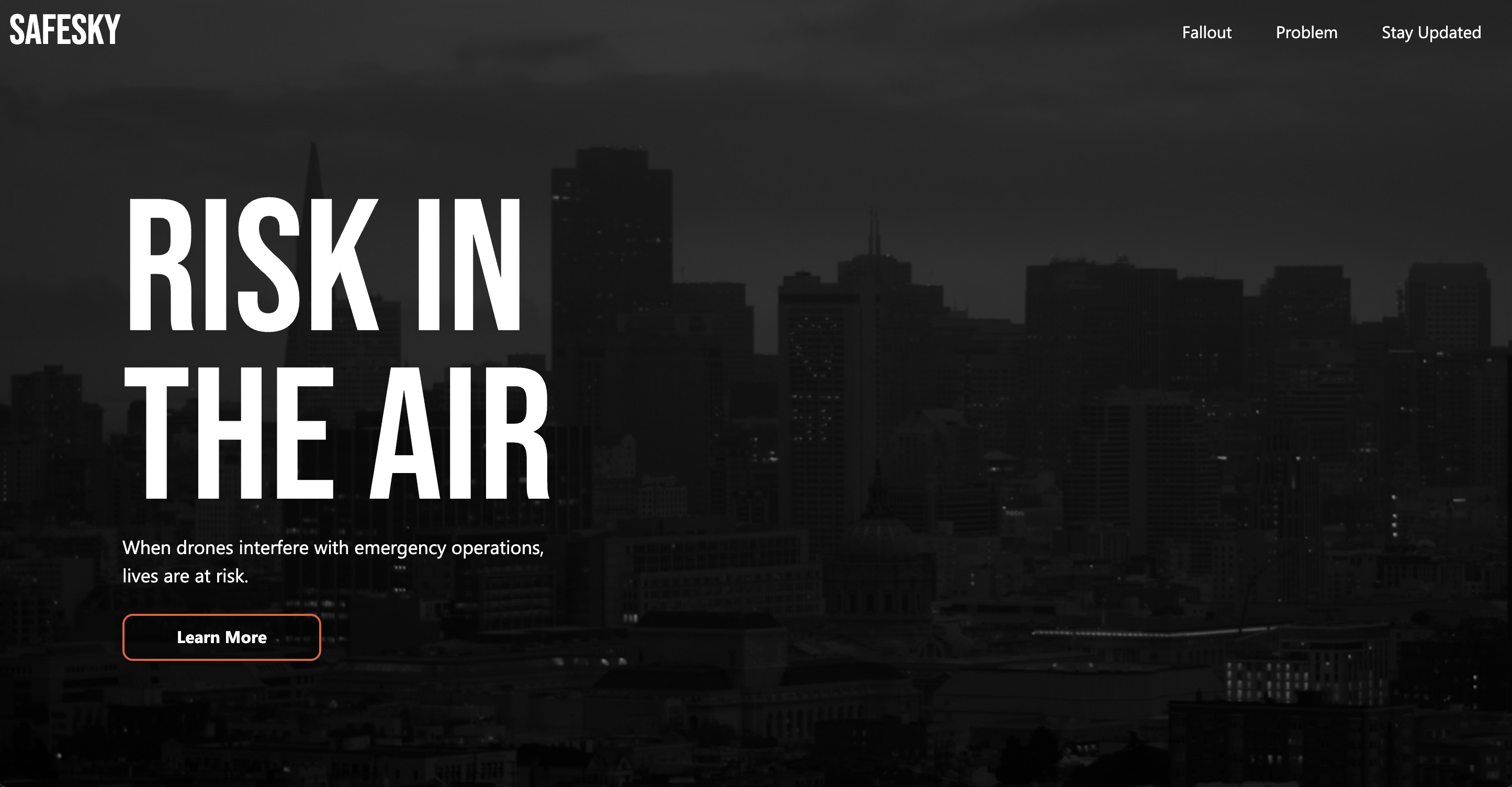 Risk In The Air website landing page